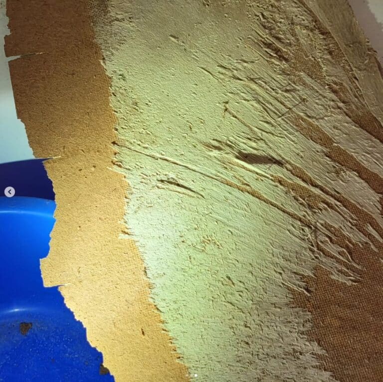 Merule-mycelium-typique-doux-et-epais-cache-derrere-tapisserie-et-revetement-mural-3.jpg