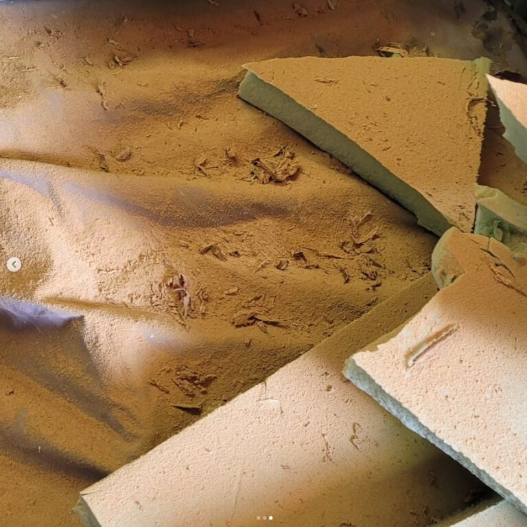 Poutres-de-cave-infestees-en-Vrillettes-3.jpg